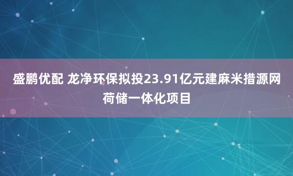 盛鹏优配 龙净环保拟投23.91亿元建麻米措源网荷储一体化项目