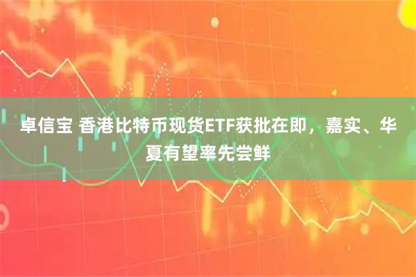 卓信宝 香港比特币现货ETF获批在即，嘉实、华夏有望率先尝鲜