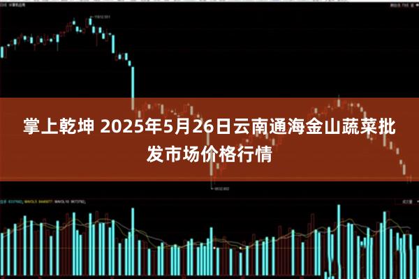 掌上乾坤 2025年5月26日云南通海金山蔬菜批发市场价格行情