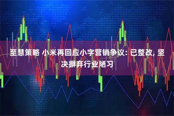 至慧策略 小米再回应小字营销争议: 已整改, 坚决摒弃行业陋习